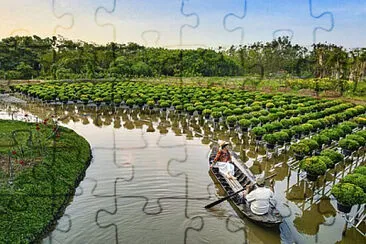 Toy jigsaw puzzle