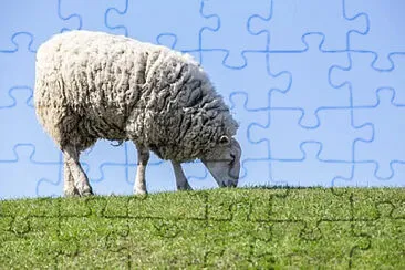 Toy jigsaw puzzle