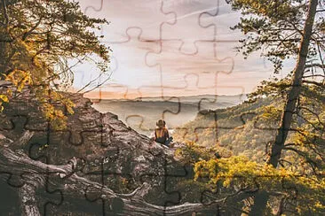 Toy jigsaw puzzle