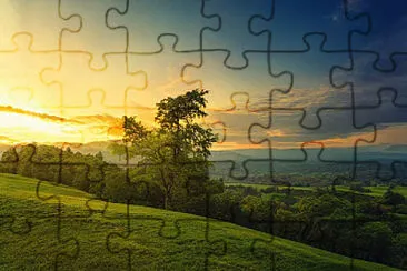 Toy jigsaw puzzle