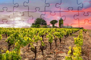 Toy jigsaw puzzle
