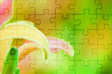 花賞 jigsaw puzzle