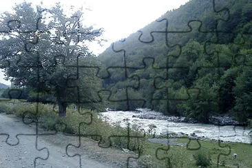 svani