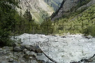 svani jigsaw puzzle