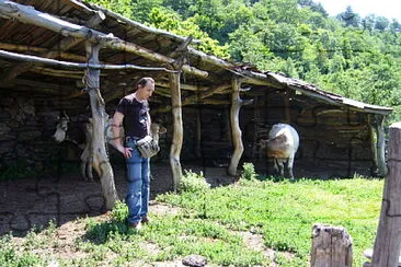 beni in svani