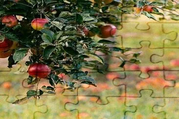 alimentos jigsaw puzzle