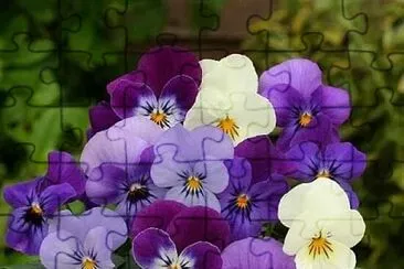 fleur