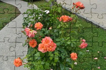 fleur jigsaw puzzle