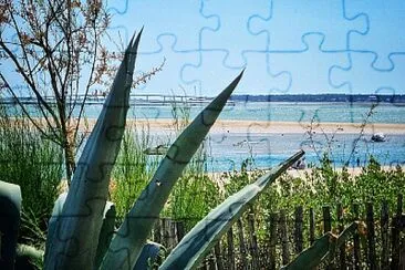 פאזל של plage