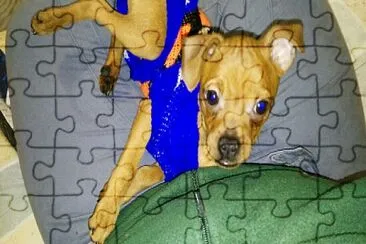 Aron jigsaw puzzle