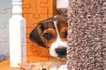 animales jigsaw puzzle