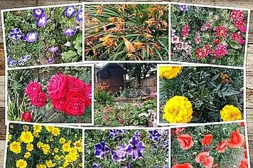 August Colour jigsaw puzzle