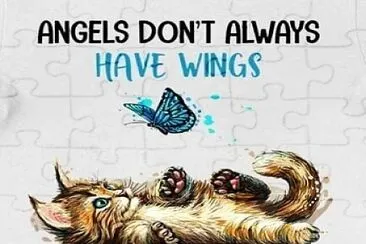 Angels Have Whiskers