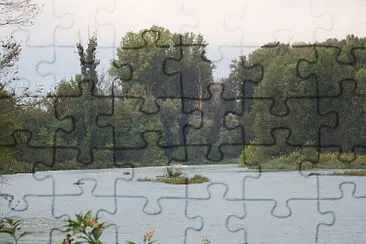 il fiume scompare nel bosco