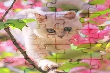 gato jigsaw puzzle