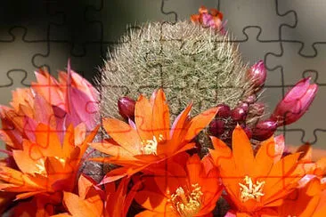 OK jigsaw puzzle