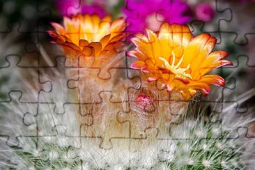 OK jigsaw puzzle