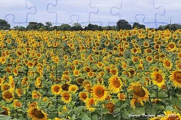 paysage jigsaw puzzle