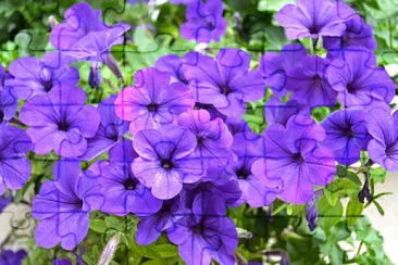 OK jigsaw puzzle
