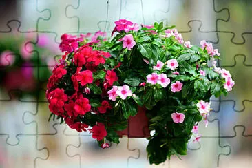 OK jigsaw puzzle