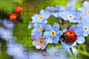Imagem jigsaw puzzle