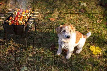 Imagem jigsaw puzzle
