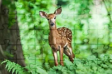 Toy jigsaw puzzle