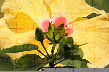 OK jigsaw puzzle