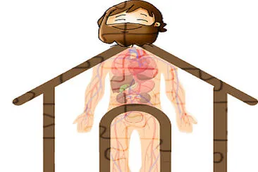Jesus, cabeza de la Iglesia