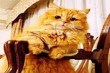 פאזל של gato