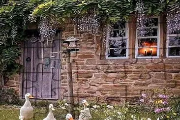 animales jigsaw puzzle