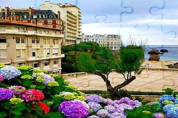 paysage jigsaw puzzle