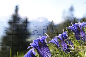 OK jigsaw puzzle