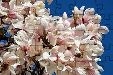 OK jigsaw puzzle