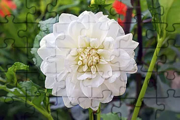 OK jigsaw puzzle