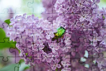OK jigsaw puzzle