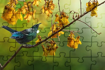 Toy jigsaw puzzle