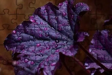  jigsaw puzzle