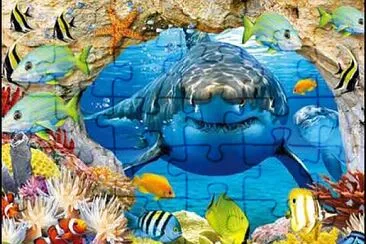 Tiburón jigsaw puzzle