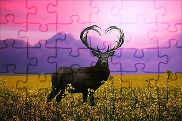鹿 jigsaw puzzle