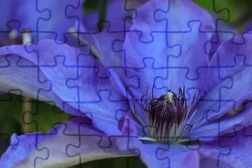  jigsaw puzzle