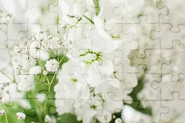  jigsaw puzzle