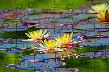  jigsaw puzzle