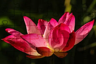  jigsaw puzzle