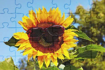  jigsaw puzzle