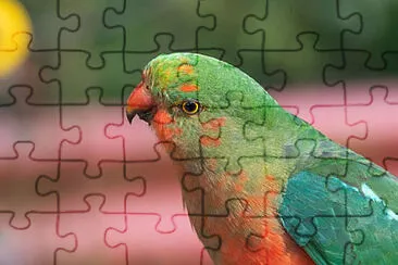Toy jigsaw puzzle