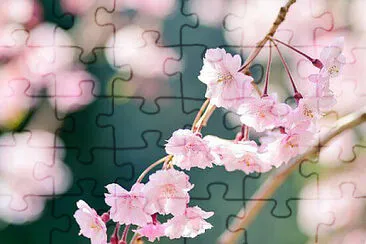  jigsaw puzzle