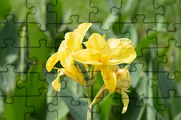  jigsaw puzzle