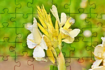  jigsaw puzzle