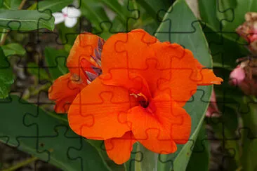  jigsaw puzzle